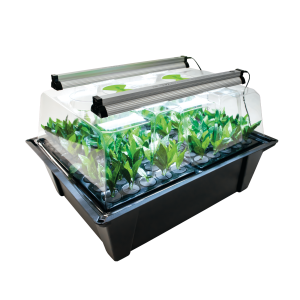 Nut Systems X-Stream Aeroponics with T5